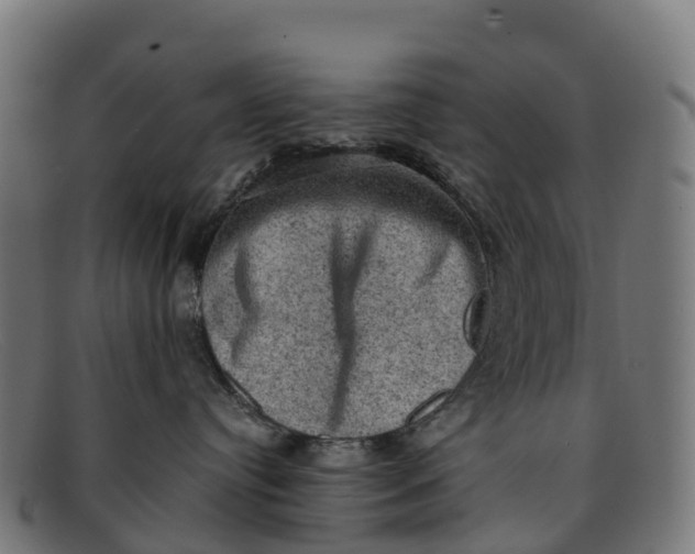 X0000091650384200709131455