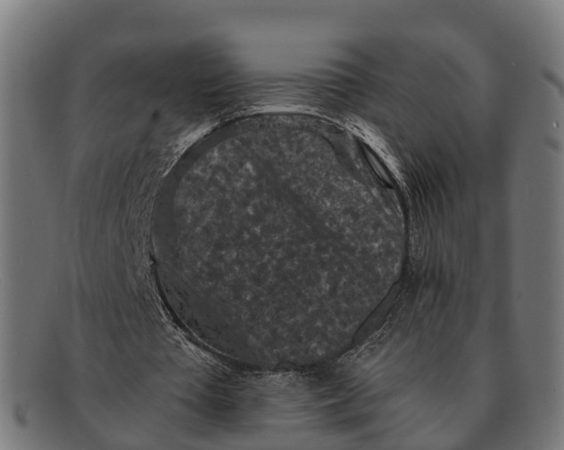 X0000091650385200709131454