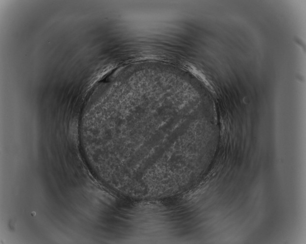 X0000091650386200709131454