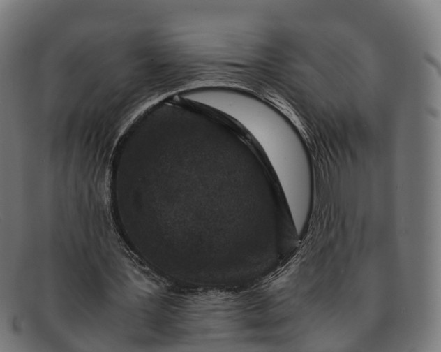 X0000091650387200709131454