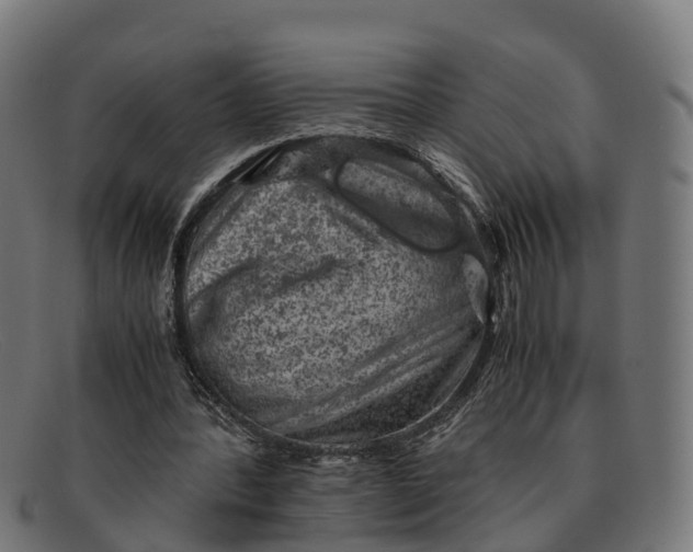 X0000091650388200709131454