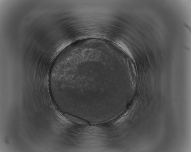 X0000091650389200709131454