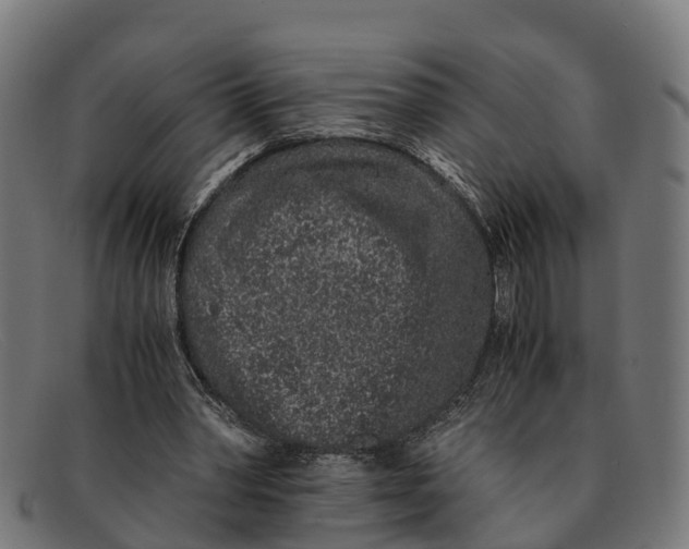 X0000091650390200709131454