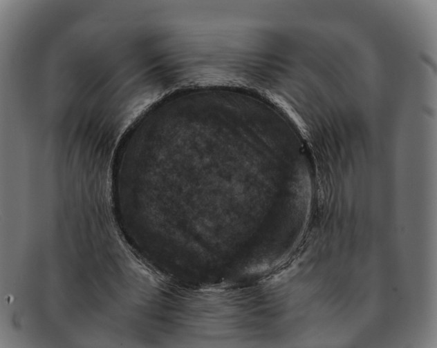 X0000091650391200709131454