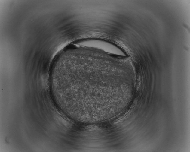 X0000091650392200709131454