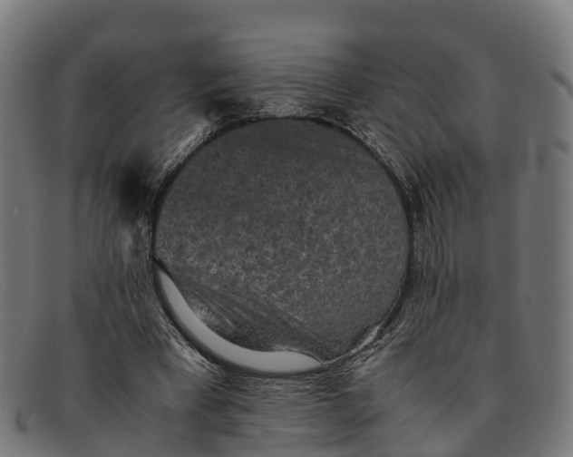 X0000091650393200709131454