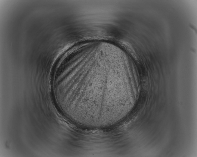 X0000091650395200709131454