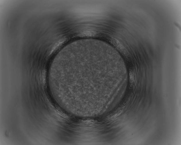 X0000091650396200709131454