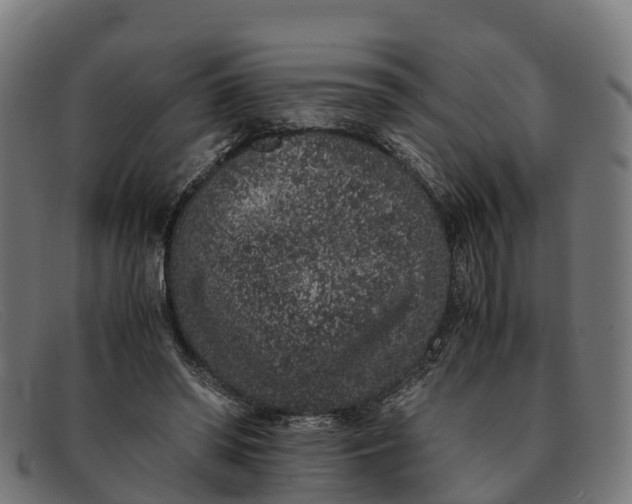 X0000091650398200709131454