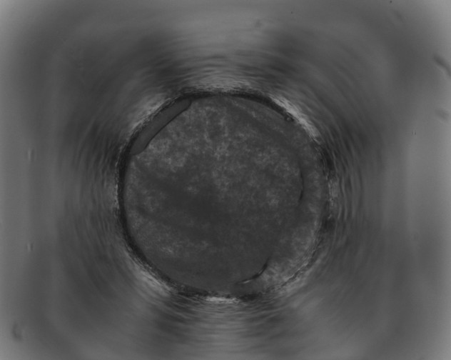 X0000091650399200709131454