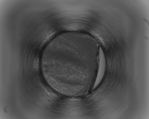 X0000091650400200709131454