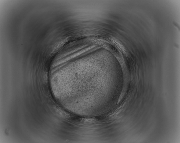 X0000091650401200709131454