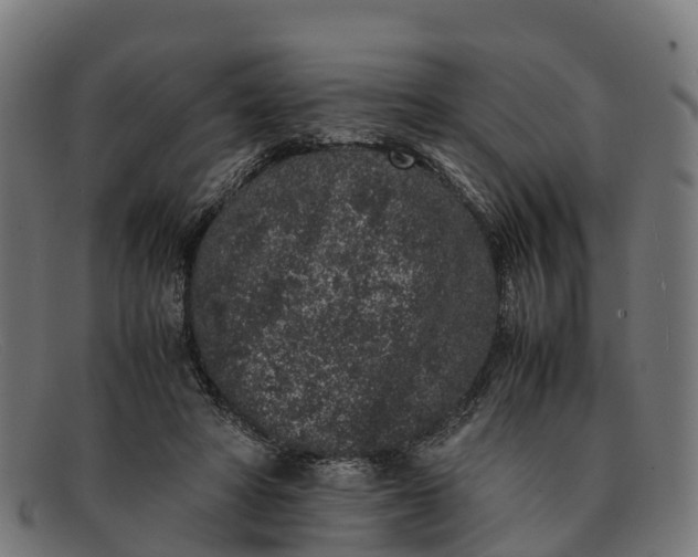 X0000091650402200709131454