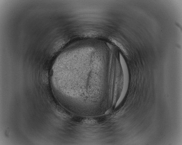 X0000091650403200709131454