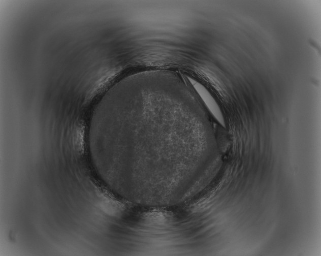 X0000091650404200709131454