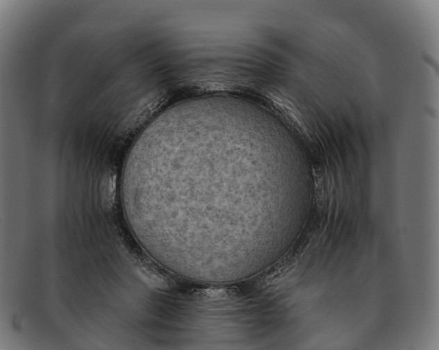 X0000091650406200709131454