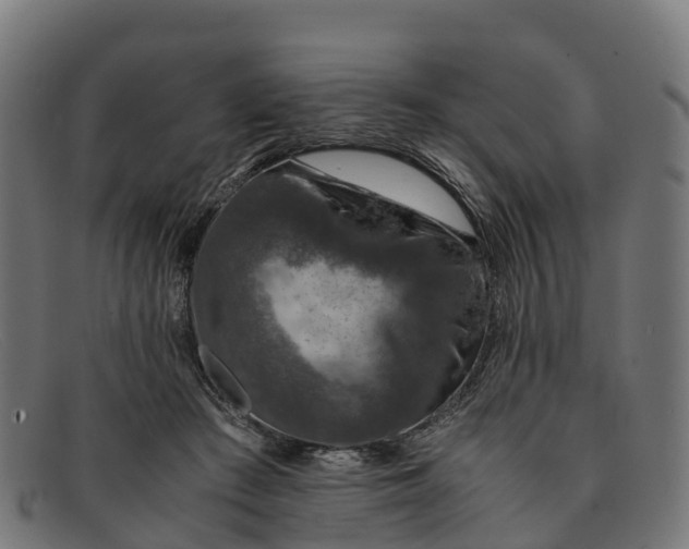 X0000091650409200709131454