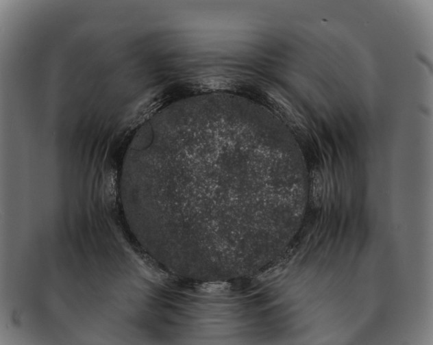 X0000091650410200709131454