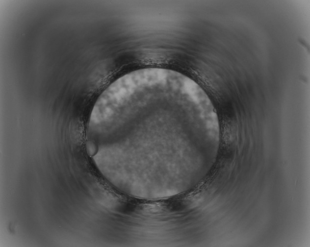 X0000091650411200709131454