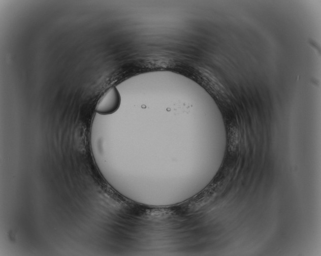 X0000091650414200709131454