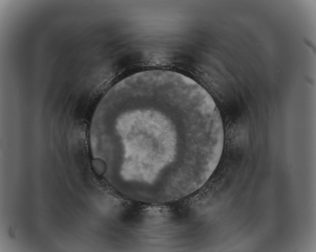 X0000091650415200709131454