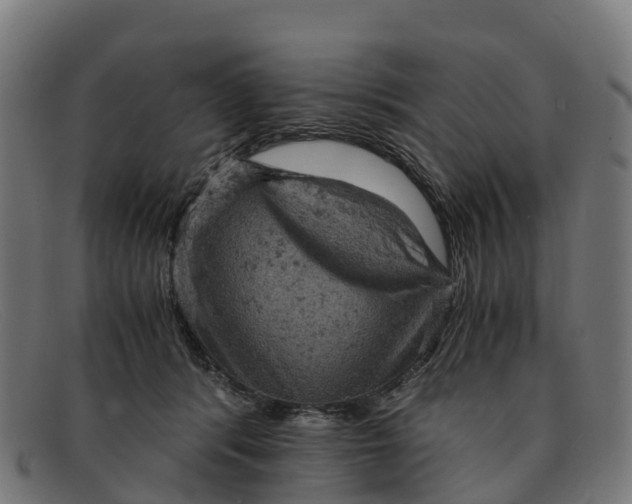 X0000091650416200709131454