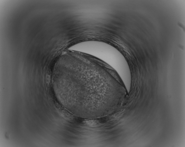 X0000091650417200709131454