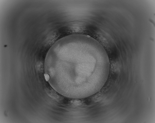 X0000091650419200709131454