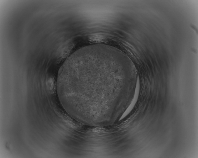 X0000091650420200709131454