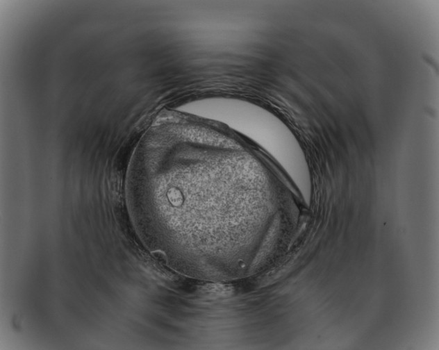 X0000091650421200709131454