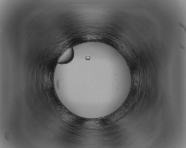 X0000091650422200709131454