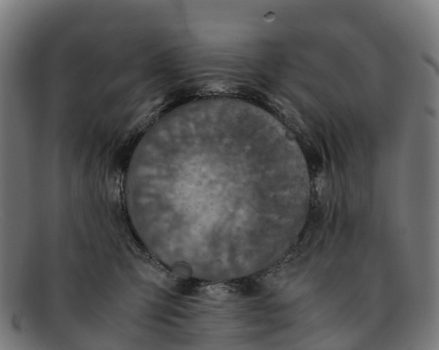 X0000091650423200709131454