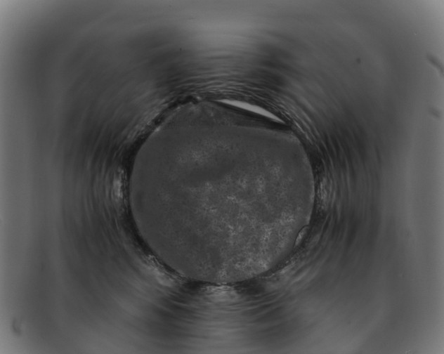 X0000091650424200709131454