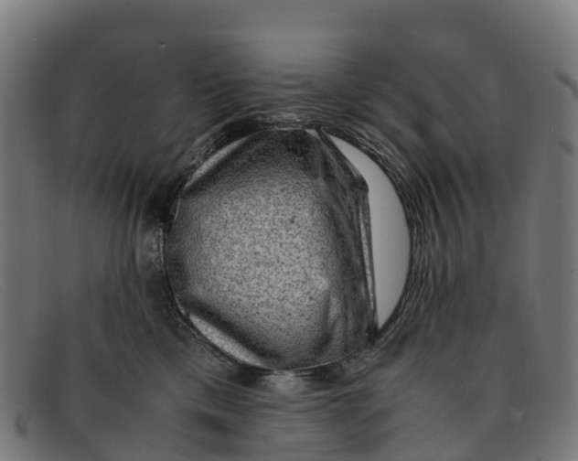 X0000091650425200709131454