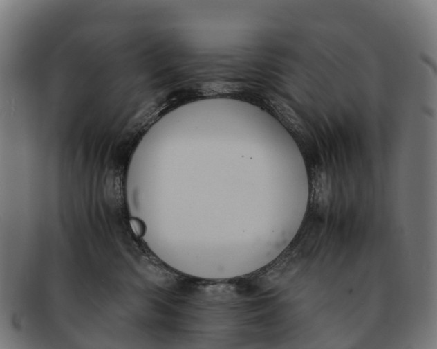 X0000091650426200709131454