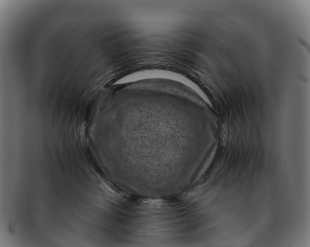 X0000091650428200709131454