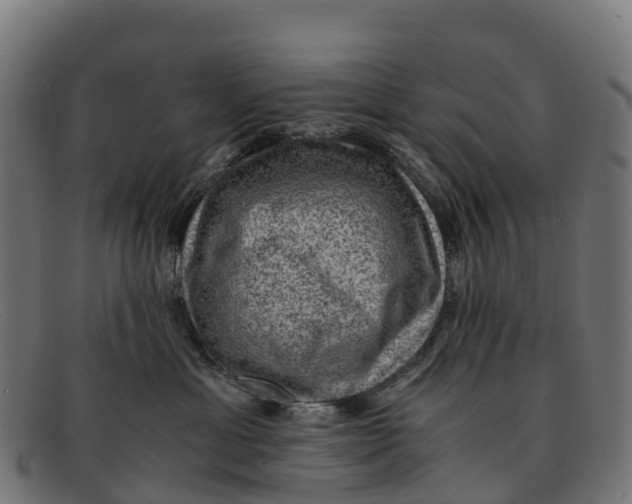 X0000091650429200709131454