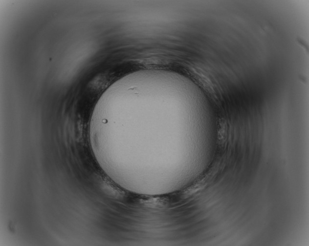 X0000091650430200709131454