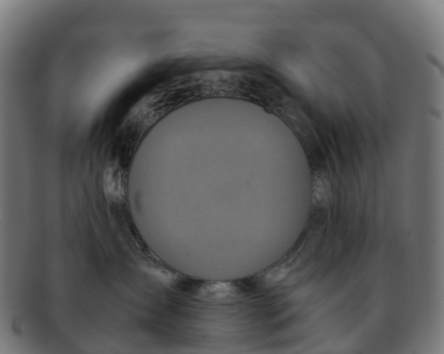 X0000091650431200709131454