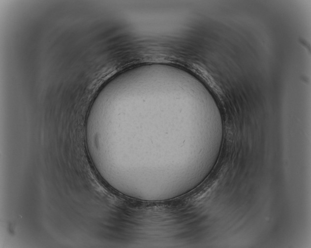 X0000091650433200709131453