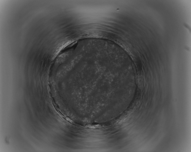 X0000091650434200709131453