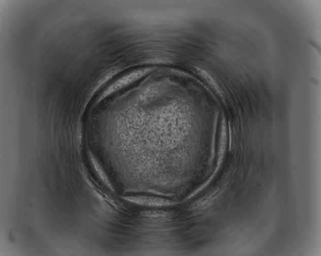 X0000091650435200709131453