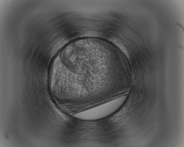 X0000091650437200709131453