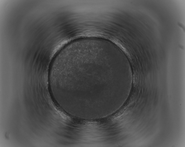 X0000091650438200709131453