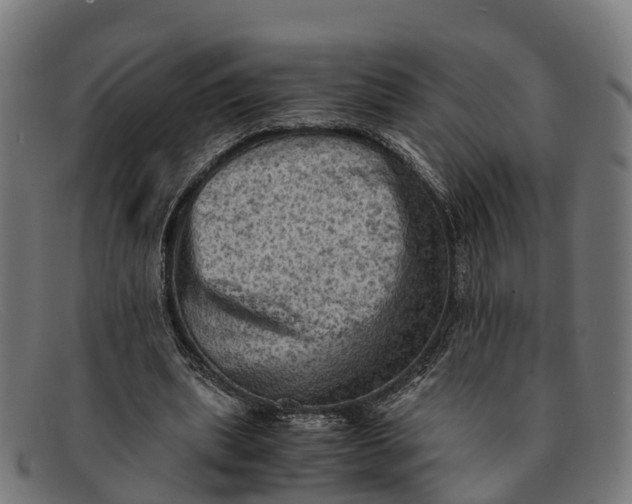 X0000091650439200709131453