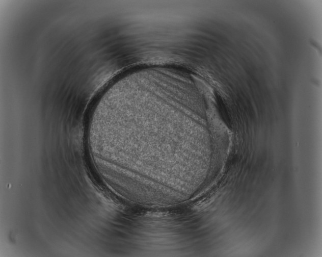 X0000091650440200709131453