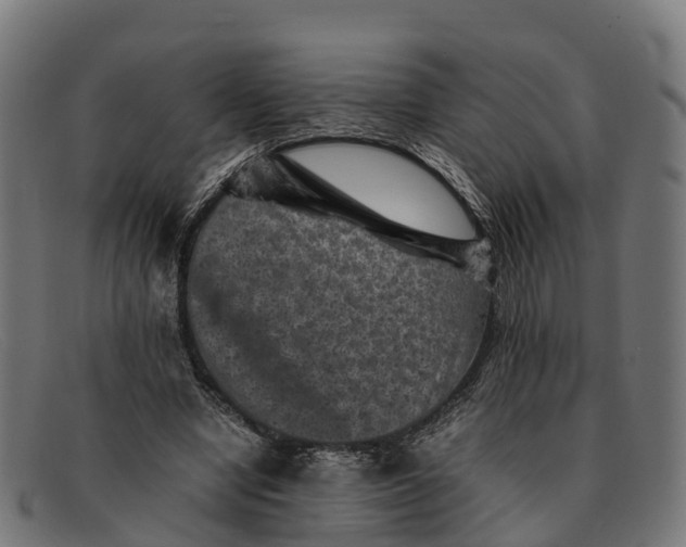 X0000091650442200709131453