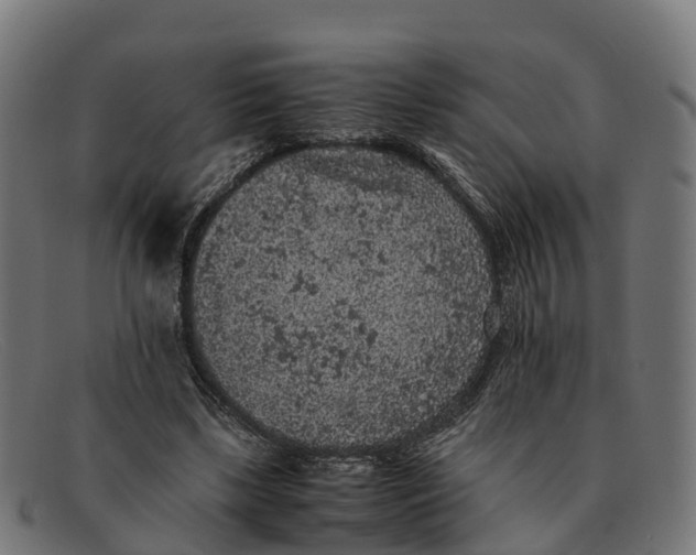 X0000091650443200709131453