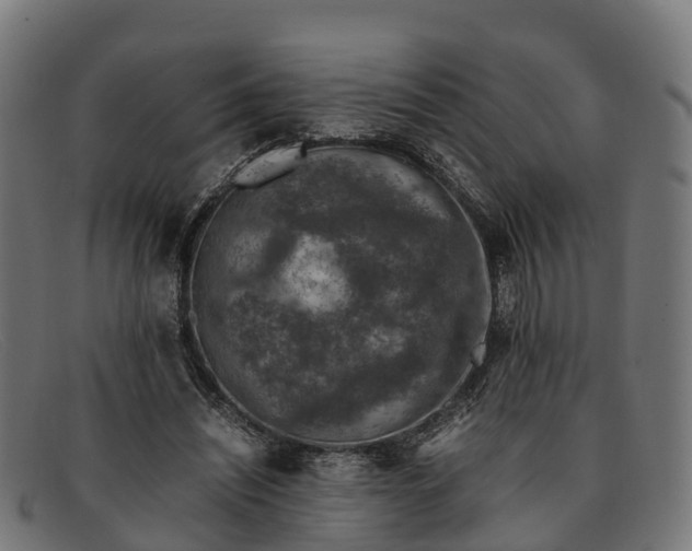 X0000091650444200709131453