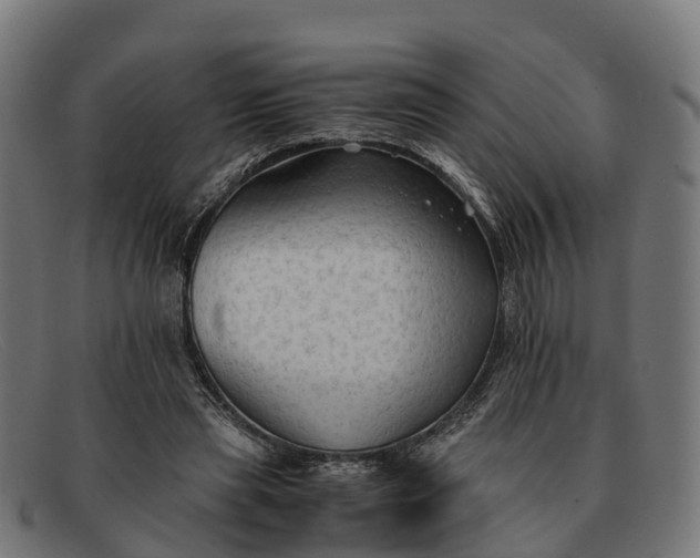 X0000091650445200709131453